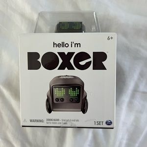 Boxer Robot Toy